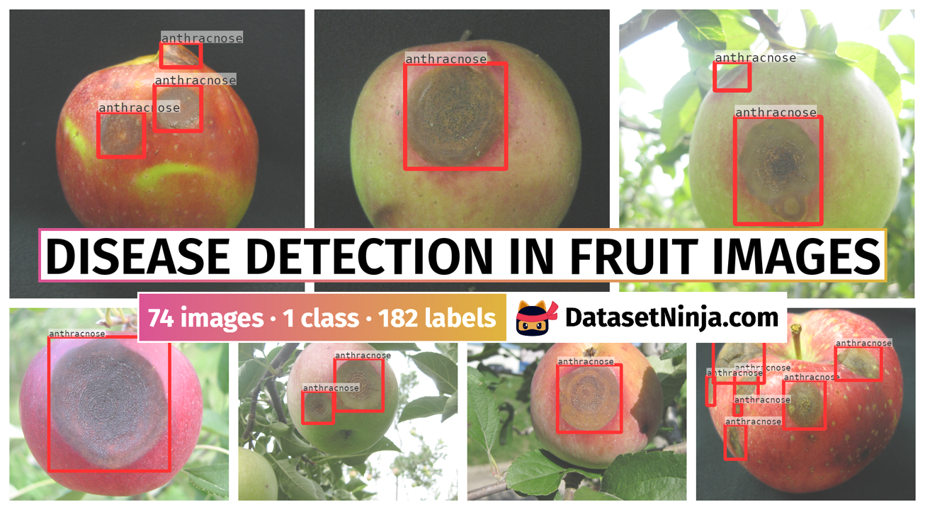 Disease Detection in Fruit Images - Dataset Ninja