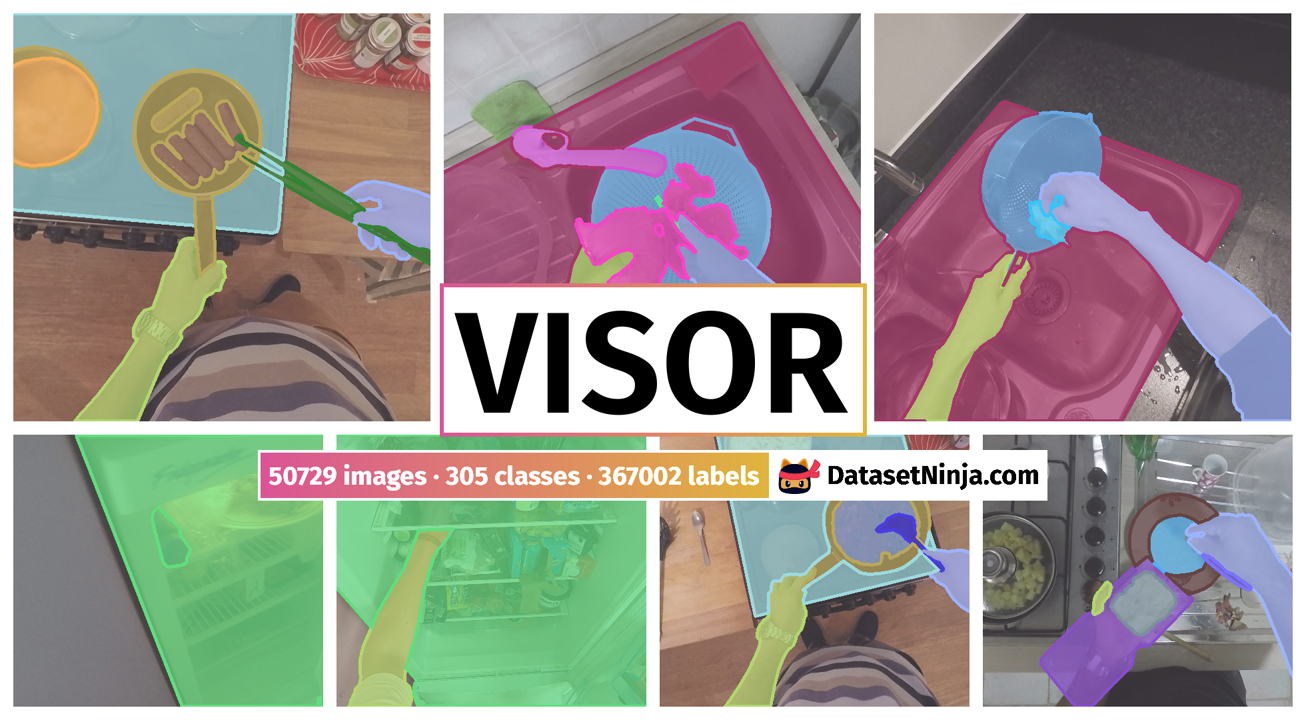VISOR Dataset Ninja