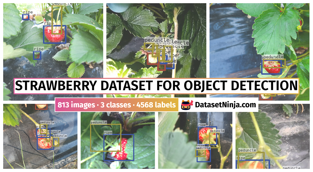 Strawberry Dataset for Object Detection - Dataset Ninja