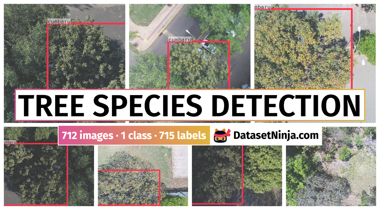 Tree Species Detection Dataset Ninja Tree Species Detection Dataset Ninja