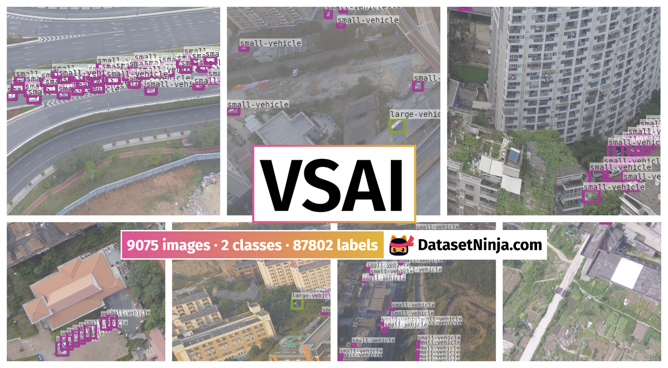 VSAI - Dataset Ninja